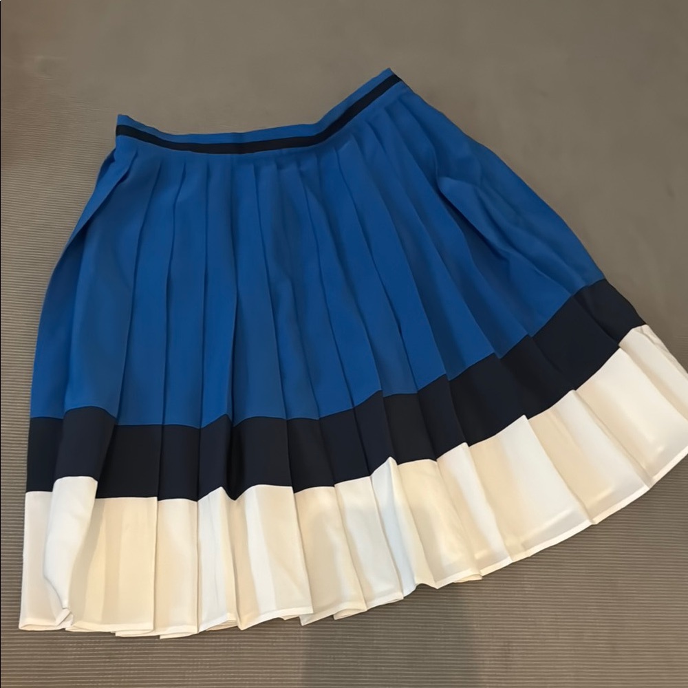 Elegant Blue and White Pleated Skirt